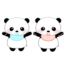 上野動物園　双子パンダの名前決定♪