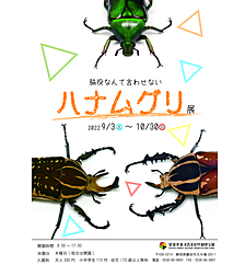 磐田市竜洋昆虫自然観察公園に行きませんか？
