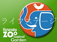 浜松動物園イベント情報